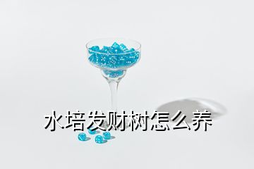 水培發(fā)財樹怎么養(yǎng)