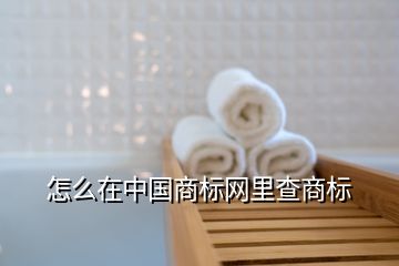 怎么在中國商標網(wǎng)里查商標