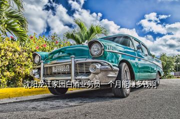 沈陽(yáng)龍江家園白酒業(yè)務(wù)員一個(gè)月能賺多錢(qián)啊