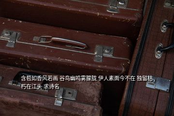 含苞如香風(fēng)若畫 谷鳥幽鳴霧朦朧 伊人素面今不在 獨留枯朽在江頭 求詩名
