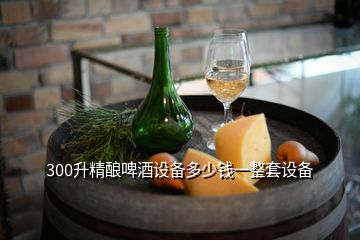 300升精釀啤酒設備多少錢一整套設備