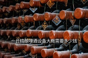 一臺(tái)精釀啤酒設(shè)備大概需要多少錢(qián)