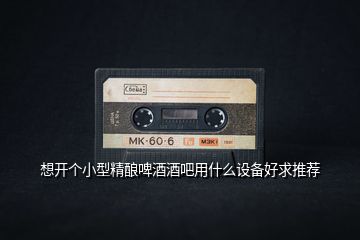 想開個小型精釀啤酒酒吧用什么設(shè)備好求推薦