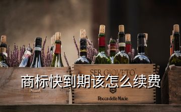 商標快到期該怎么續(xù)費