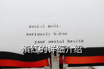 滇紅的詳細介紹