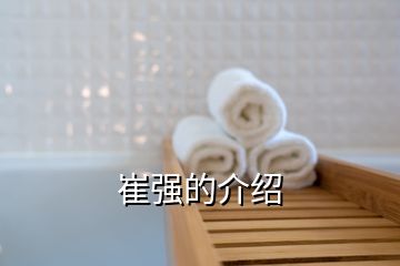 崔強的介紹