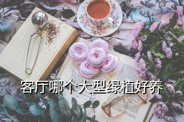客廳哪個(gè)大型綠植好養(yǎng)