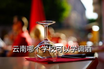 云南哪個學?？梢詫W調(diào)酒