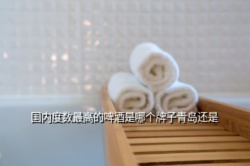國(guó)內(nèi)度數(shù)最高的啤酒是哪個(gè)牌子青島還是