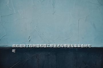 誰知道除了棕樹營(yíng)和理工那里還有哪里有串串香好吃呢