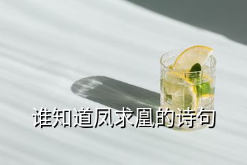 誰(shuí)知道鳳求凰的詩(shī)句