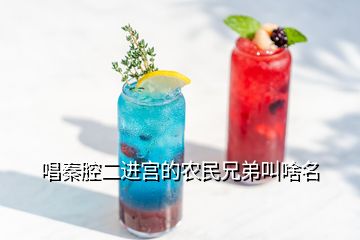 唱秦腔二進(jìn)宮的農(nóng)民兄弟叫啥名