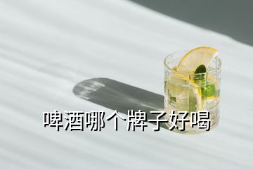 啤酒哪個(gè)牌子好喝