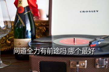 問(wèn)道全力有前途嗎 哪個(gè)最好