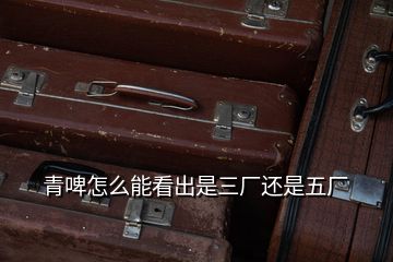 青啤怎么能看出是三廠(chǎng)還是五廠(chǎng)