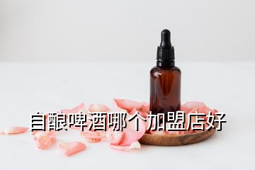自釀啤酒哪個(gè)加盟店好