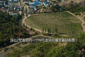 誅仙2梵香谷的一個(gè)NPC金鳳在哪里最好有圖