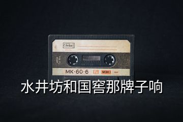 水井坊和國窖那牌子響