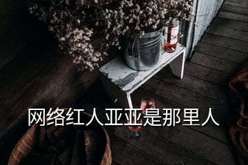 網(wǎng)絡紅人亞亞是那里人