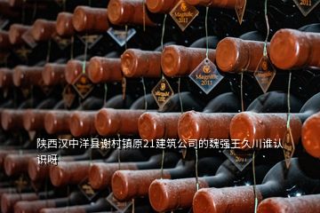 陜西漢中洋縣謝村鎮(zhèn)原21建筑公司的魏強王久川誰認識呀
