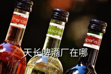 天長啤酒廠在哪
