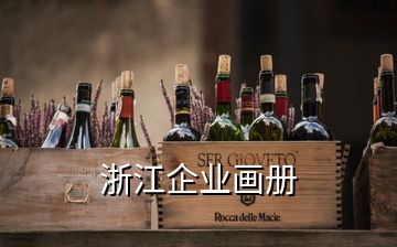 浙江企業(yè)畫(huà)冊(cè)