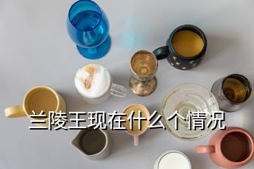 蘭陵王現在什么個情況