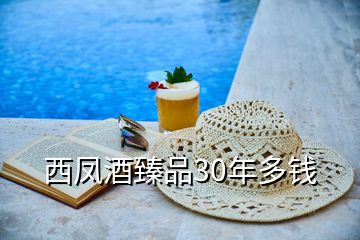 西鳳酒臻品30年多錢