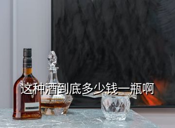 這種酒到底多少錢(qián)一瓶啊