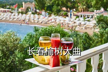 長春榆樹大曲