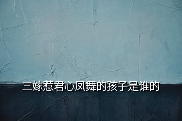 三嫁惹君心鳳舞的孩子是誰的