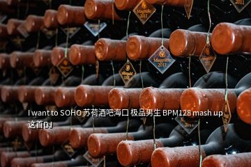 I want to SOHO 蘇荷酒吧海口 極品男生 BPM128 mash up 這首DJ