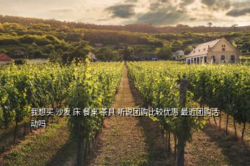 我想買 沙發(fā) 床 餐桌 茶具 聽說團購比較優(yōu)惠 最近團購活動嗎