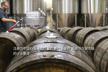注冊(cè)為中國(guó)XX有限責(zé)任公司 要什么條件 如果現(xiàn)在是市級(jí)的企業(yè)要改