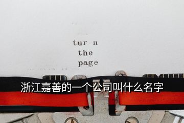 浙江嘉善的一個公司叫什么名字