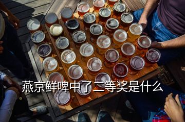 燕京鮮啤中了二等獎是什么