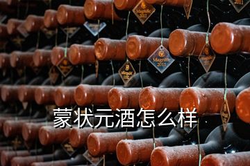 蒙狀元酒怎么樣