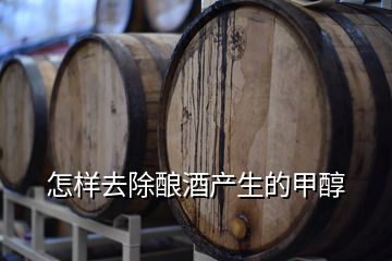 怎樣去除釀酒產(chǎn)生的甲醇