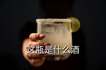 這瓶是什么酒