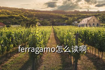 ferragamo怎么讀啊
