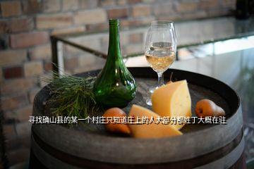 尋找確山縣的某一個村莊只知道莊上的人大部分都姓丁大概在駐