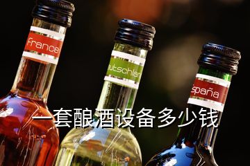 一套釀酒設(shè)備多少錢