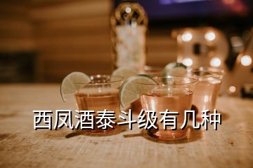 西鳳酒泰斗級有幾種