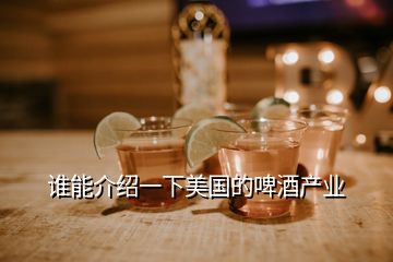 誰能介紹一下美國(guó)的啤酒產(chǎn)業(yè)