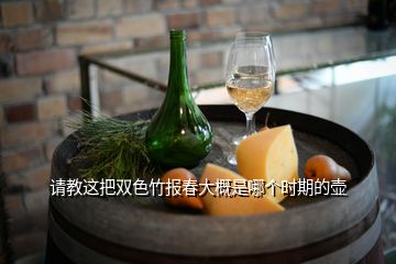 請教這把雙色竹報春大概是哪個時期的壺