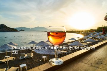 深圳龍華華潤(rùn)萬家現(xiàn)在正在招商我的品牌紅酒想要和他們合作是去找