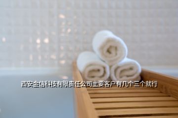 西安金信科技有限責(zé)任公司主要客戶(hù)有幾個(gè)三個(gè)就行