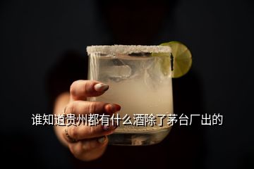 誰(shuí)知道貴州都有什么酒除了茅臺(tái)廠出的