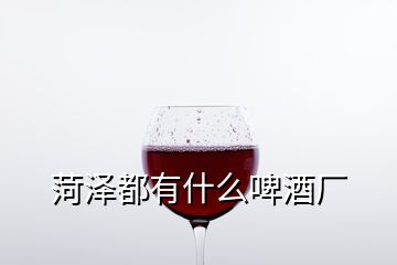 菏澤都有什么啤酒廠