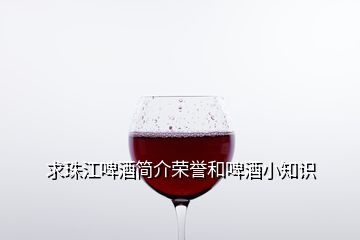 求珠江啤酒簡介榮譽(yù)和啤酒小知識(shí)